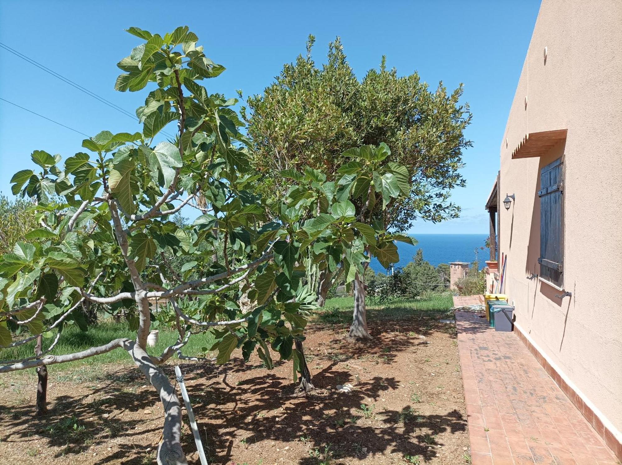 Vila La Terrazza Su Pispisa Castellammare del Golfo Exteriér fotografie